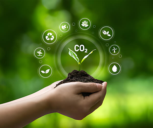 Lianyungang Petrochemical Co., Ltd