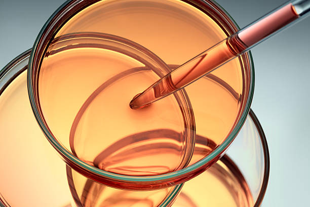 lianyungang petrochemical co ltd