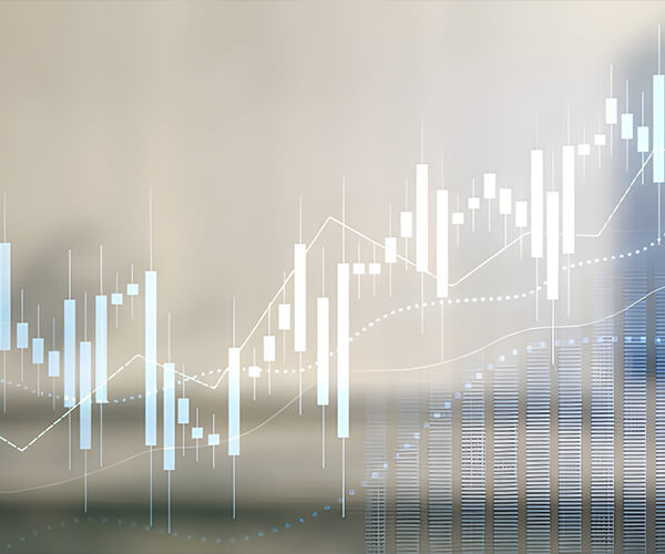 Lianyungang Petrochemical Co., Ltd